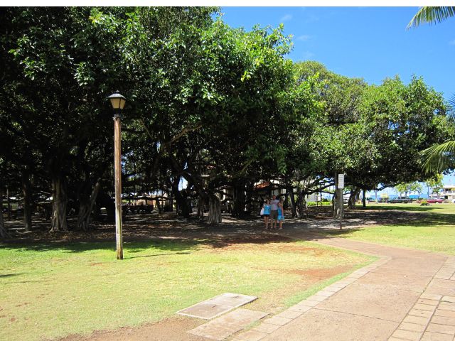 IMG 0535 copy